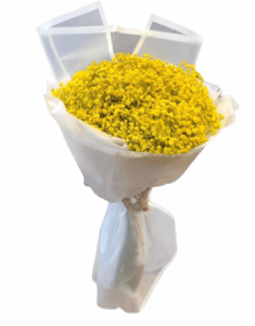 باقة الجبسوفيليا